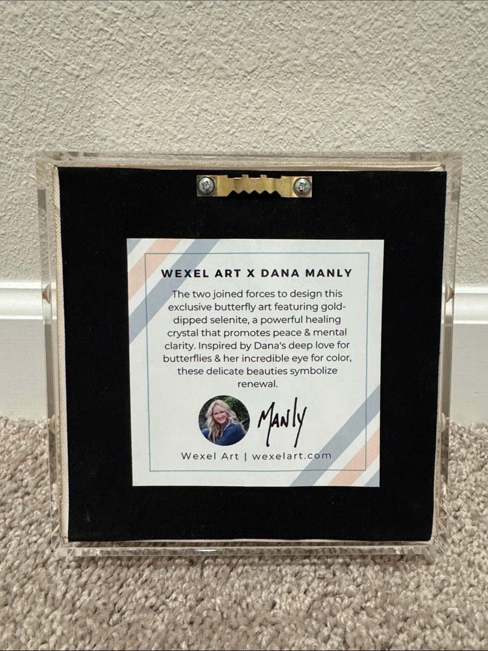 Colorful Gold-Accented Butterfly Art in Acrylic Frame